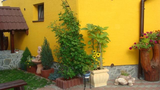 Privat U Zdenky Hotel Tvrdosin Exterior foto
